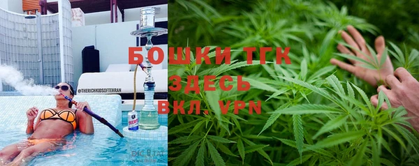 ГАЛЛЮЦИНОГЕННЫЕ ГРИБЫ Арсеньев